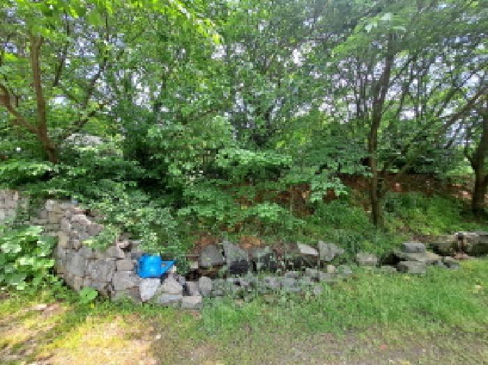충청남도 당진시 송악읍 중흥리 401-4 근린시설 경매 사진 19