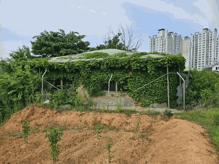 충청남도 당진시 송악읍 중흥리 401-4 근린시설 경매 사진 4