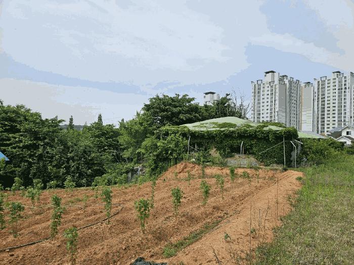 충청남도 당진시 송악읍 중흥리 401-4 근린시설 경매 사진 8
