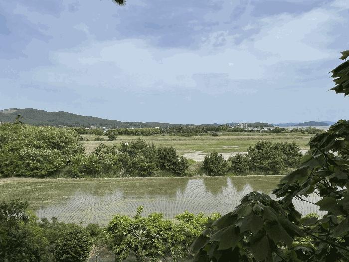 충청남도 서산시 기타토지