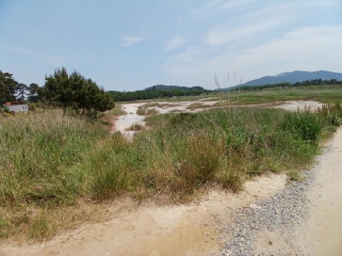 충청남도 서산시 대산읍 오지리 338-56 기타토지 경매 사진 11