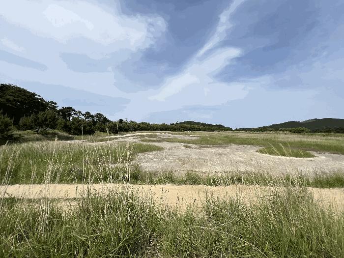 충청남도 서산시 대산읍 오지리 338-56 기타토지 경매 사진 2