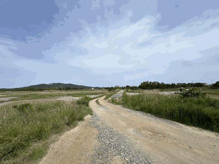 충청남도 서산시 대산읍 오지리 338-56 기타토지 경매 사진 3