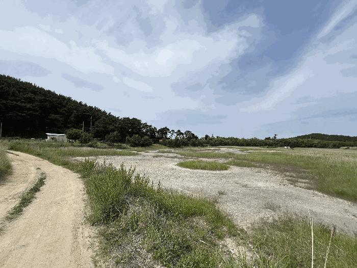 충청남도 서산시 대산읍 오지리 338-56 기타토지 경매 사진 5