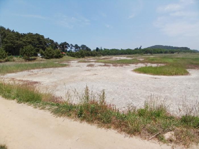 충청남도 서산시 대산읍 오지리 338-56 기타토지 경매 사진 6
