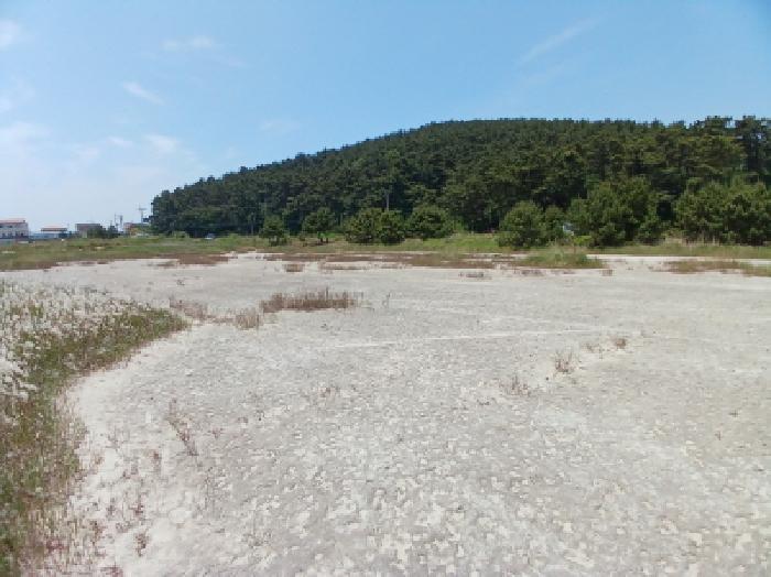 충청남도 서산시 대산읍 오지리 338-56 기타토지 경매 사진 7