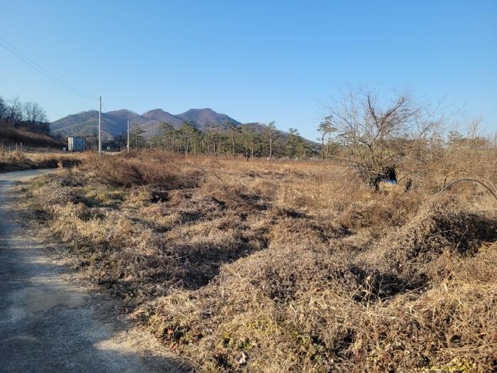 경상북도 구미시 선산읍 북산리 386 답 경매 사진 15