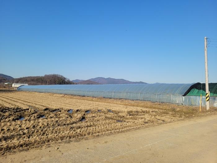 경상북도 구미시 선산읍 북산리 535 전 경매 사진 5