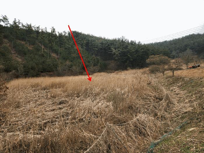 충청남도 태안군 원북면 이곡리 321 답 경매 사진 6