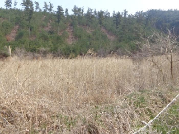 충청남도 태안군 원북면 이곡리 321 답 경매 사진 9