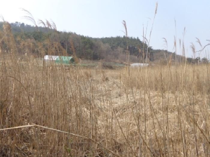 충청남도 태안군 원북면 이곡리 326 임야 경매 사진 10