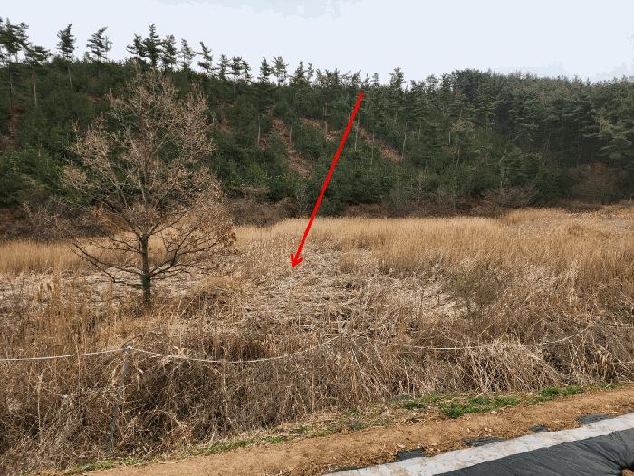 충청남도 태안군 원북면 이곡리 326 임야 경매 사진 2