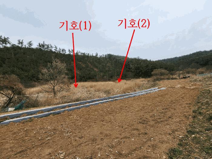 충청남도 태안군 원북면 이곡리 326 임야 경매 사진 3