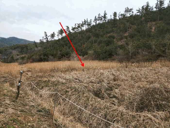 충청남도 태안군 원북면 이곡리 326 임야 경매 사진 4