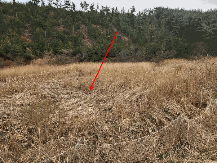 충청남도 태안군 원북면 이곡리 326 임야 경매 사진 5
