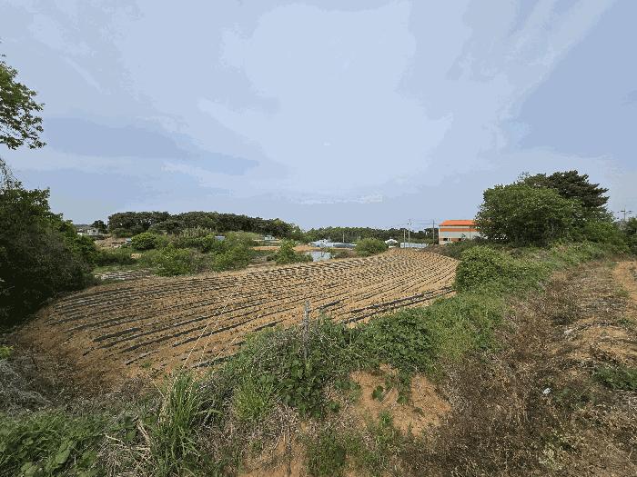 충청남도 당진시 석문면 삼봉리 142-10 임야 경매 사진 2