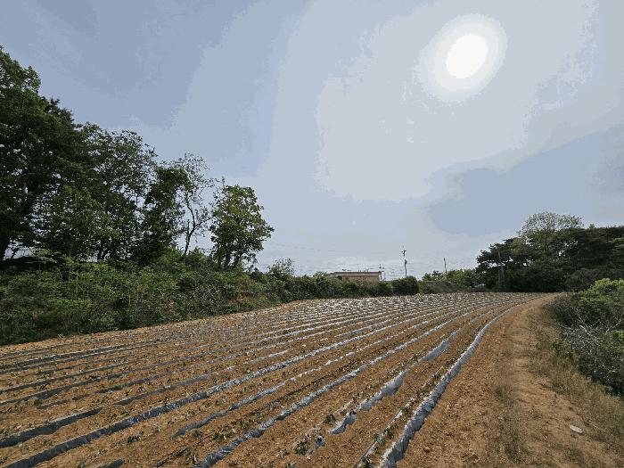 충청남도 당진시 석문면 삼봉리 142-10 임야 경매 사진 3