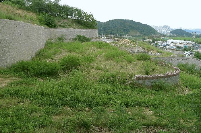 경상북도 구미시 양호동 산52-11 임야 경매 사진 3