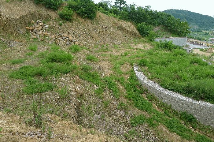 경상북도 구미시 양호동 산52-11 임야 경매 사진 7