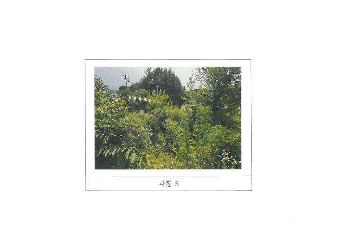 경상북도 김천시 증산면 부항리 170-10 주택 경매 사진 9