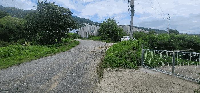 경상북도 김천시 감문면 문무리 79 전 경매 사진 3