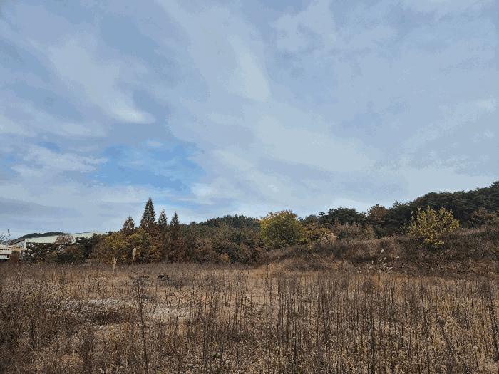 경상남도 함안군 법수면 우거리 584 전 경매 사진 3