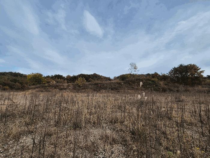 경상남도 함안군 법수면 우거리 584 전 경매 사진 4