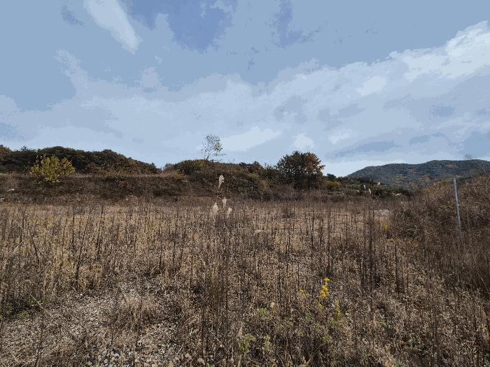 경상남도 함안군 법수면 우거리 584 전 경매 사진 5