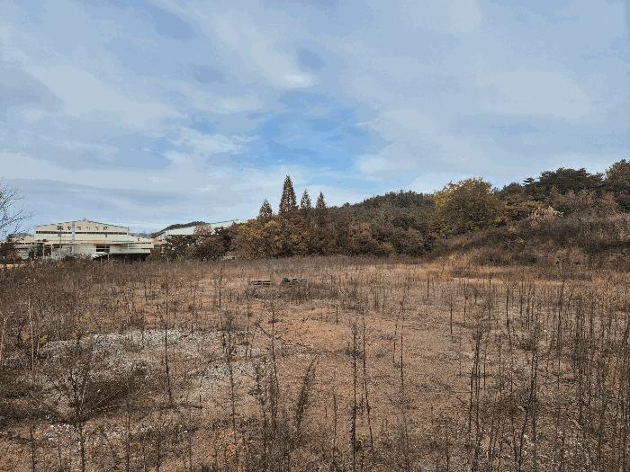 경상남도 함안군 법수면 우거리 584 전 경매 사진 6