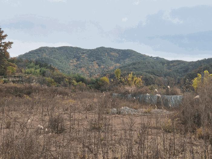 경상남도 함안군 법수면 우거리 584 전 경매 사진 7