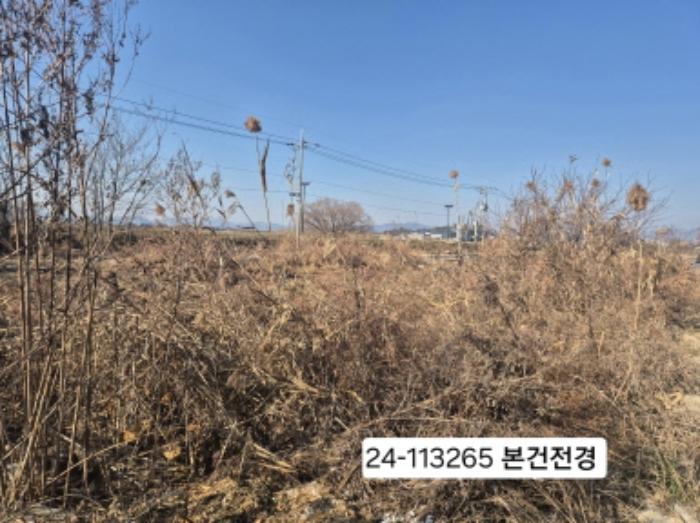 부산광역시 강서구 강동동 3136 답 경매 사진 5