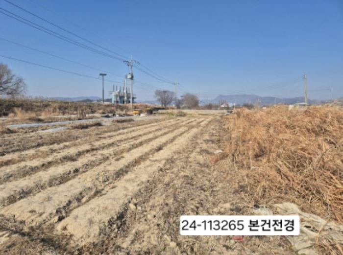 부산광역시 강서구 강동동 3136 답 경매 사진 6