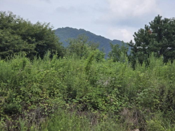 경상북도 경산시 와촌면 강학리 658-6 전 경매 사진 11