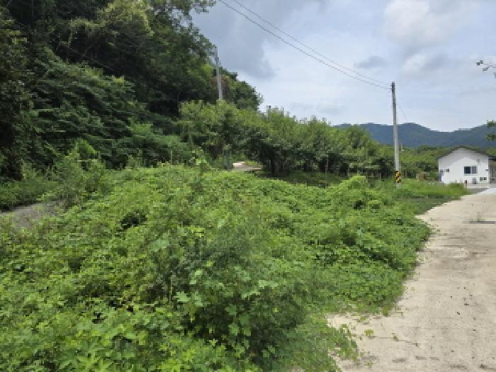 경상북도 경산시 와촌면 강학리 658-6 전 경매 사진 15