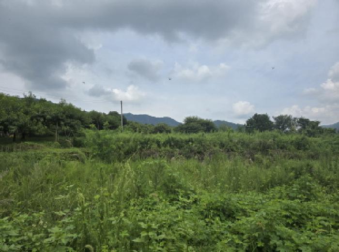 경상북도 경산시 와촌면 강학리 658-6 전 경매 사진 8
