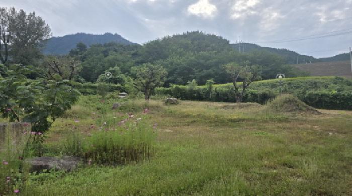 경상북도 칠곡군 가산면 가산리 591 주택 경매 사진 14