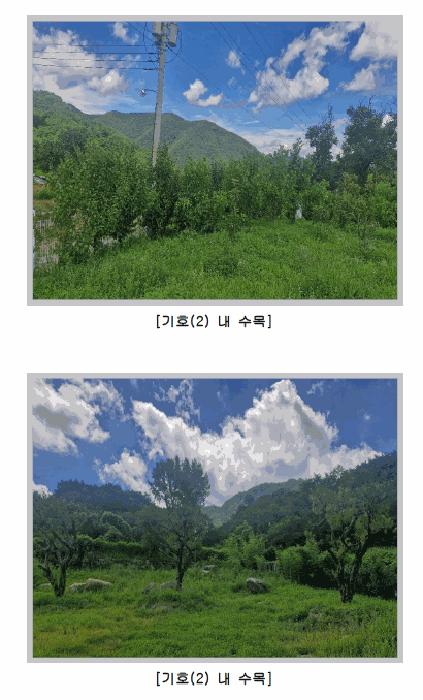 경상북도 칠곡군 가산면 가산리 591 주택 경매 사진 6