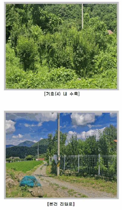 경상북도 칠곡군 가산면 가산리 591 주택 경매 사진 7