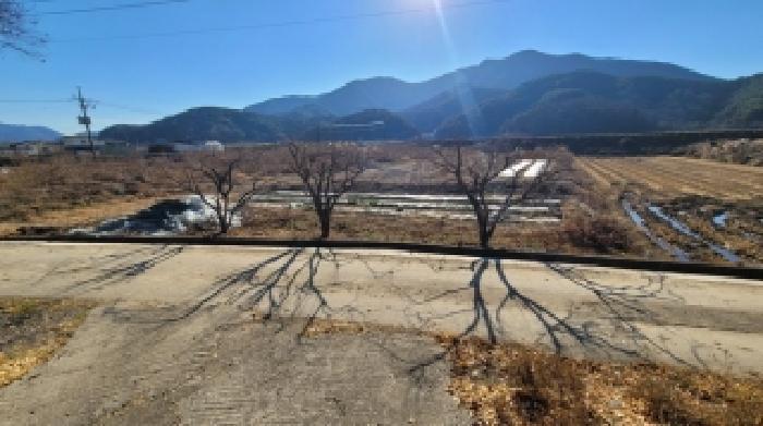 경상남도 함안군 군북면 수곡리 31-2 답 경매 사진 4