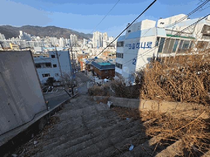 부산광역시 사하구 괴정동 산90-5 임야 경매 사진 2