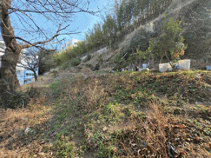 부산광역시 사하구 괴정동 산90-5 임야 경매 사진 4