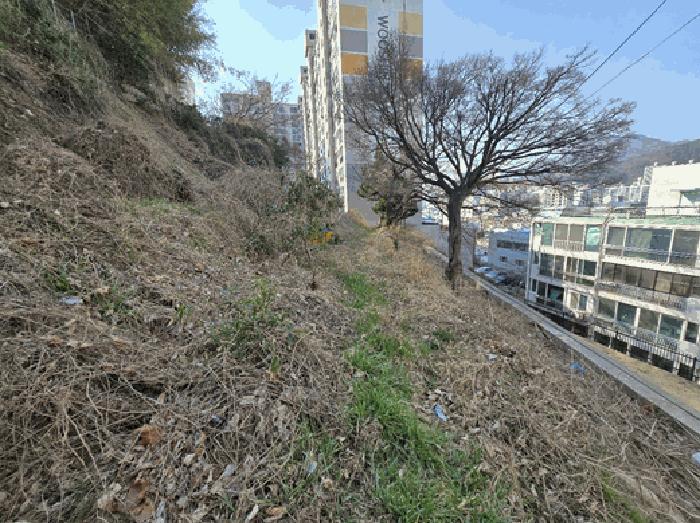부산광역시 사하구 괴정동 산90-5 임야 경매 사진 6