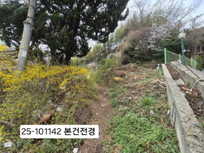 부산광역시 사하구 괴정동 산90-5 임야 경매 사진 7