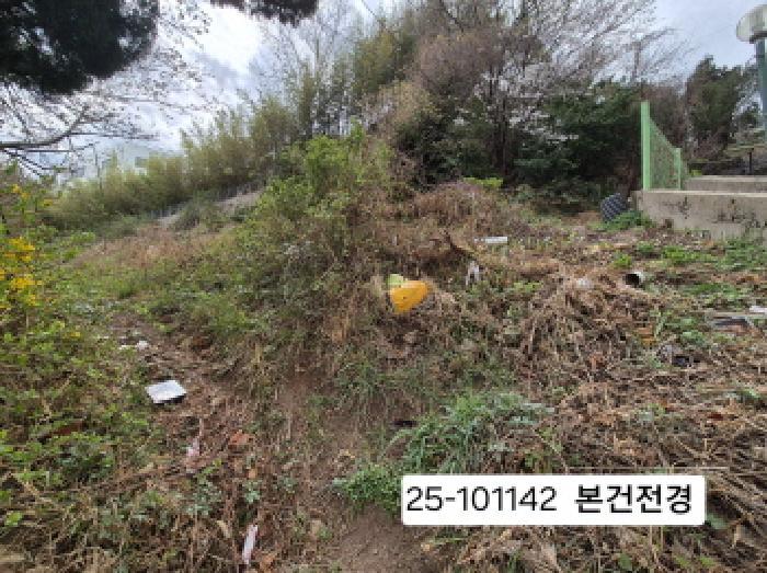 부산광역시 사하구 괴정동 산90-5 임야 경매 사진 8