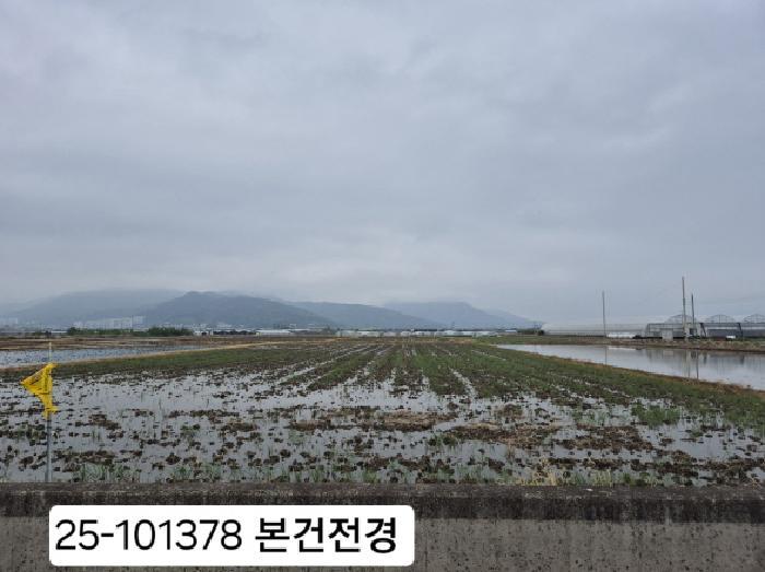 부산광역시 강서구 강동동 921-1 답 경매 사진 5