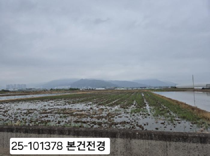 부산광역시 강서구 강동동 921-1 답 경매 사진 6