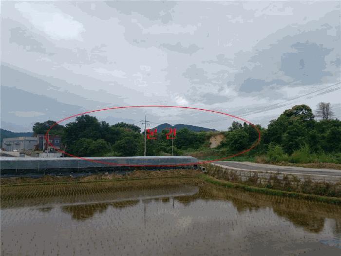 경상북도 김천시 개령면 덕촌리 264 전 경매 사진 9