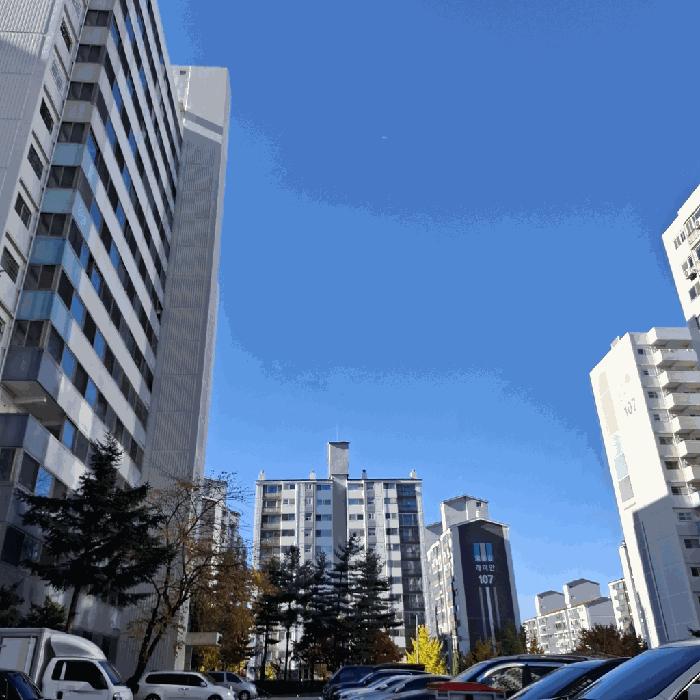 경기도 부천시 소사구 소사본동 400-8 113동 2층205호 아파트 경매 사진 1