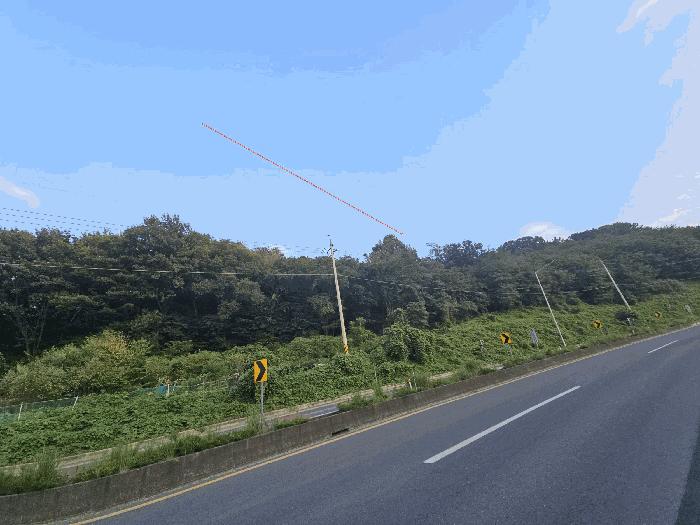 경상남도 창원시 성산구 남지동 산60 임야 경매 사진 2
