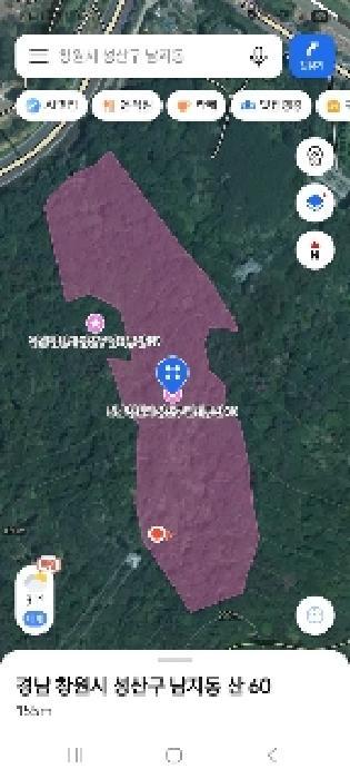 경상남도 창원시 성산구 남지동 산60 임야 경매 사진 4